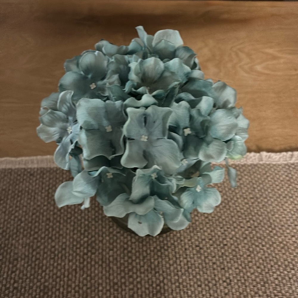 Meet your Posher, Ely